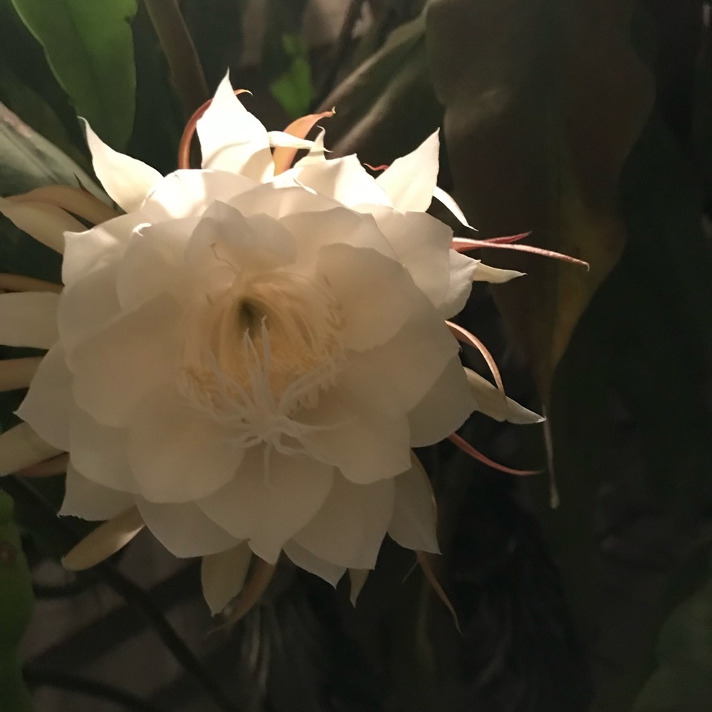 Meet your Posher, Judy